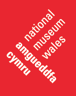 Amgueddfa Cymru - National Museum Wales logo